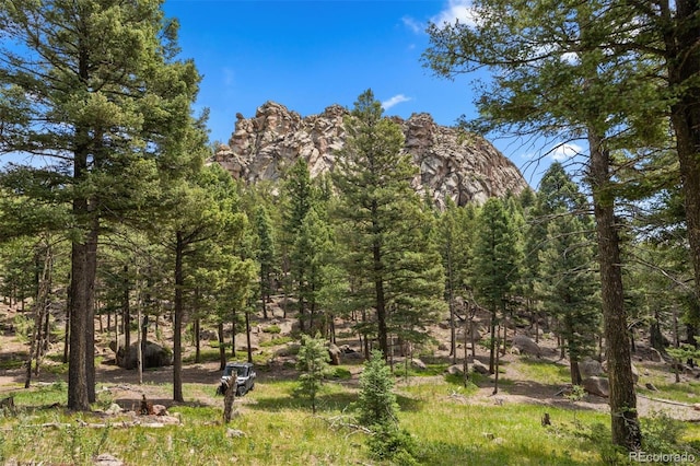 26271 Richmond Hill Rd, Conifer, CO 80433 - photo 32