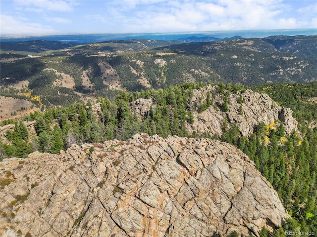 26271 Richmond Hill Rd, Conifer, CO 80433 - photo 33