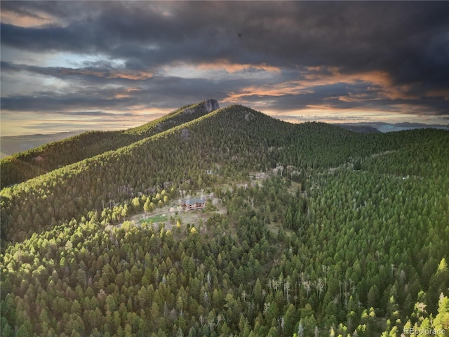 26271 Richmond Hill Rd, Conifer, CO 80433 - photo 48