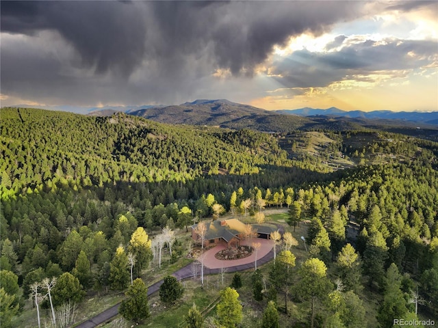 26271 Richmond Hill Rd, Conifer, CO 80433 - photo 49