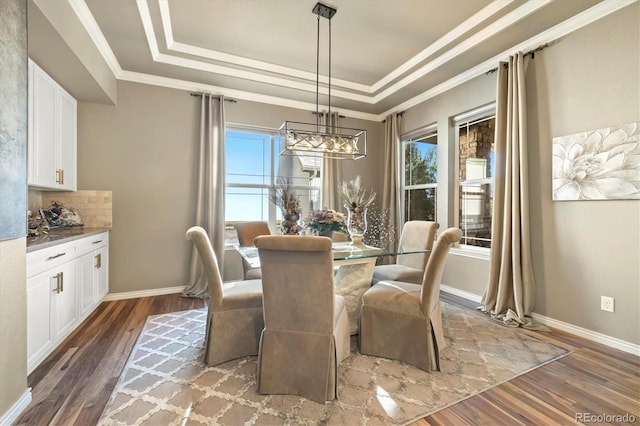 dining room featuring a tray ceiling, a healthy amount of sunlight, and dark hardwood / wood-style floors