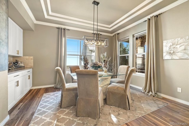 dining room featuring a wealth of natural light, wood finished floors, and a tray ceiling