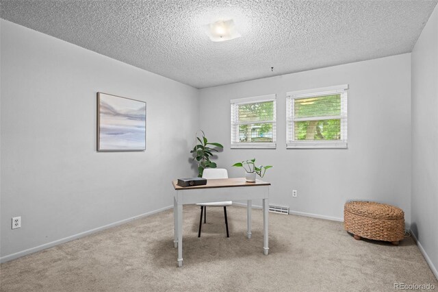 272 S 22nd Ave, Brighton, CO 80601 - photo 18