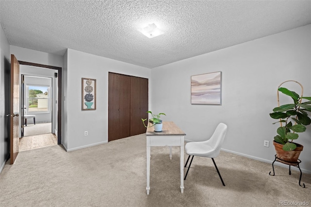 272 S 22nd Ave, Brighton, CO 80601 - photo 19