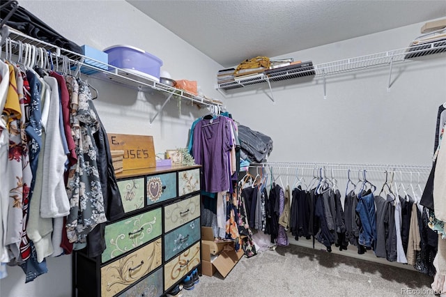 10869 Traders Pkwy, Fountain, CO 80817 - walk in closet with carpet floors