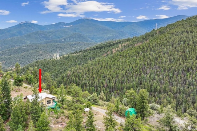 379 Raven Dr, Idaho Springs, CO 80452 - photo 3
