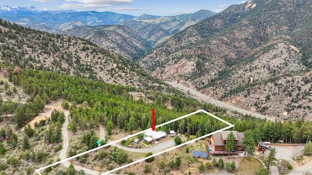 379 Raven Dr, Idaho Springs, CO 80452 - photo 4