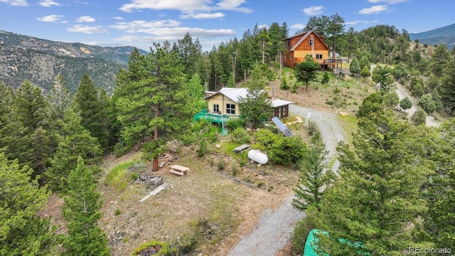 379 Raven Dr, Idaho Springs, CO 80452 - photo 5