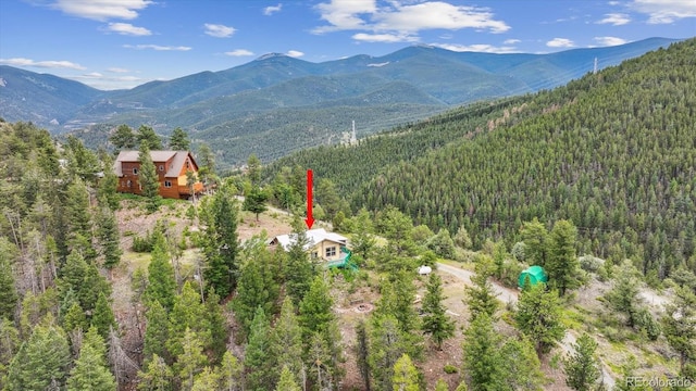 379 Raven Dr, Idaho Springs, CO 80452 - photo 6