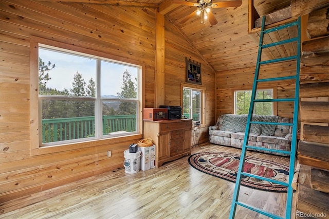379 Raven Dr, Idaho Springs, CO 80452 - photo 15