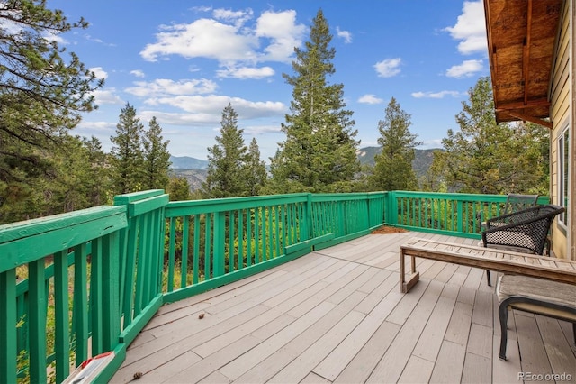 379 Raven Dr, Idaho Springs, CO 80452 - photo 18