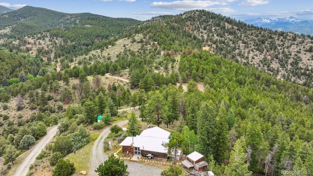 379 Raven Dr, Idaho Springs, CO 80452 - photo 20