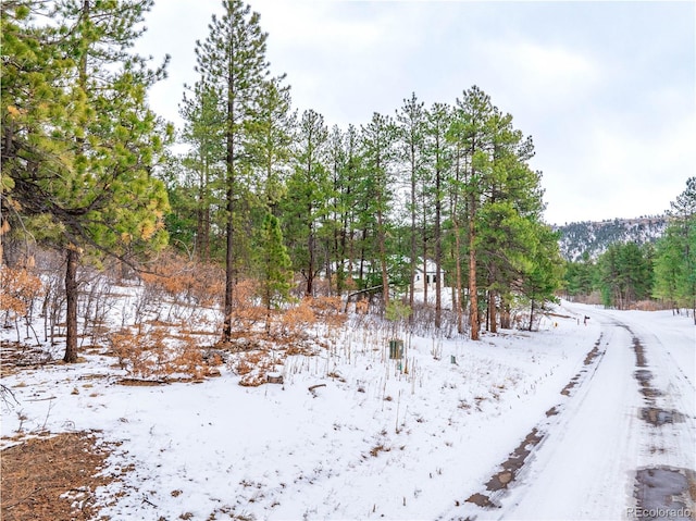 Listing photo 3 for 773 Poncho Rd, Larkspur CO 80118