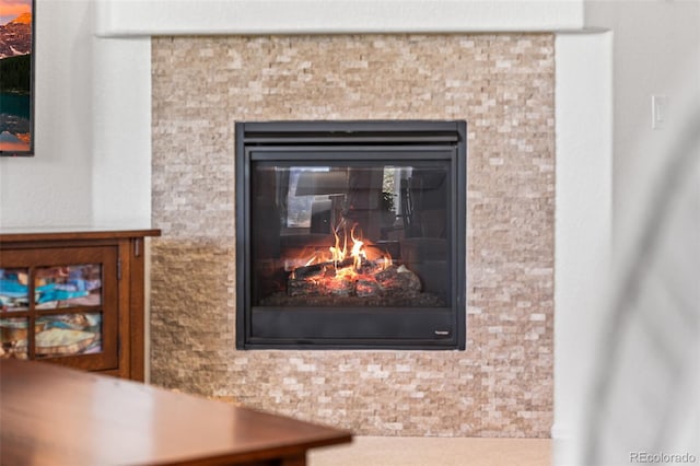14805 Quince Way, Thornton, CO 80602 - detailed view of a glass covered fireplace