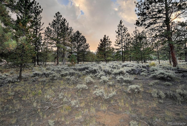 view of nature at dusk