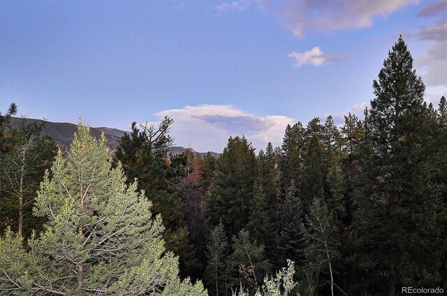 view of mountain feature