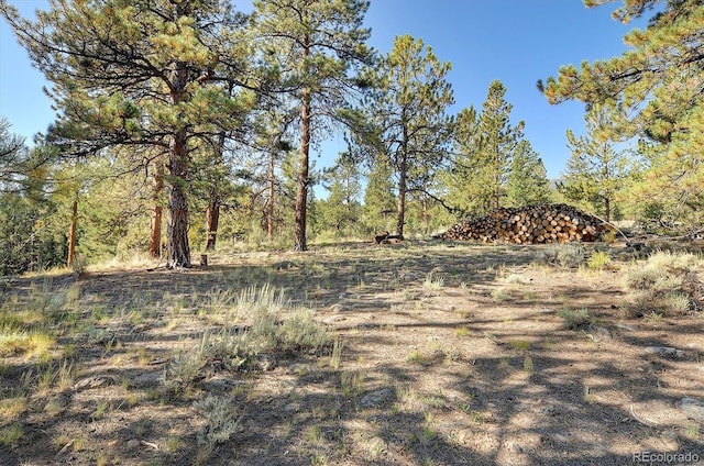 view of local wilderness