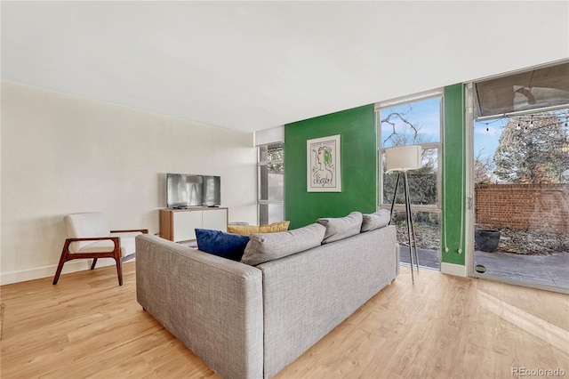 living room featuring light hardwood / wood-style floors