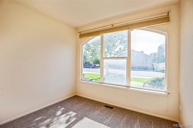 2491 Fountain Greens Blvd Unit B1, Grand Junction, CO 81505 - empty room featuring carpet floors