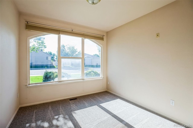 2491 Fountain Greens Blvd Unit B1, Grand Junction, CO 81505 - empty room featuring carpet flooring and plenty of natural light