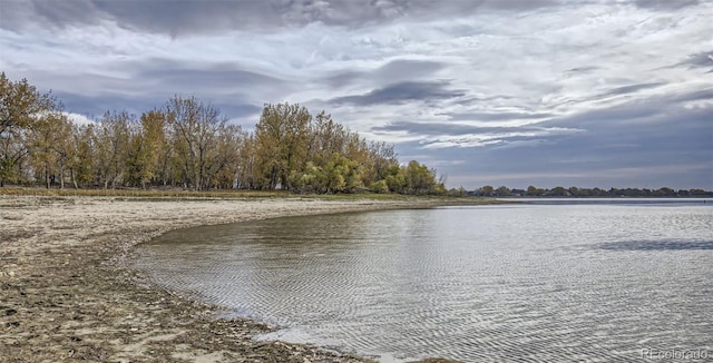 3156 Ironton Dr, Loveland, CO 80538 - photo 3