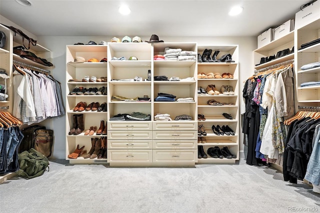 549 Milwaukee St, Denver, CO 80206 - spacious closet featuring carpet