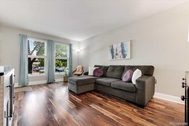 living room with dark hardwood / wood-style floors