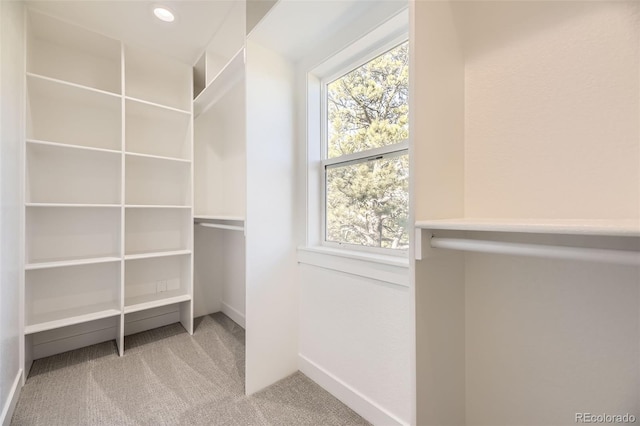 2037 Mockingbird Trl, Bailey, CO 80421 - walk in closet featuring carpet flooring