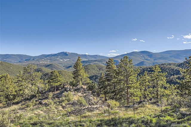2037 Mockingbird Trl, Bailey, CO 80421 - mountain view featuring a heavily wooded area