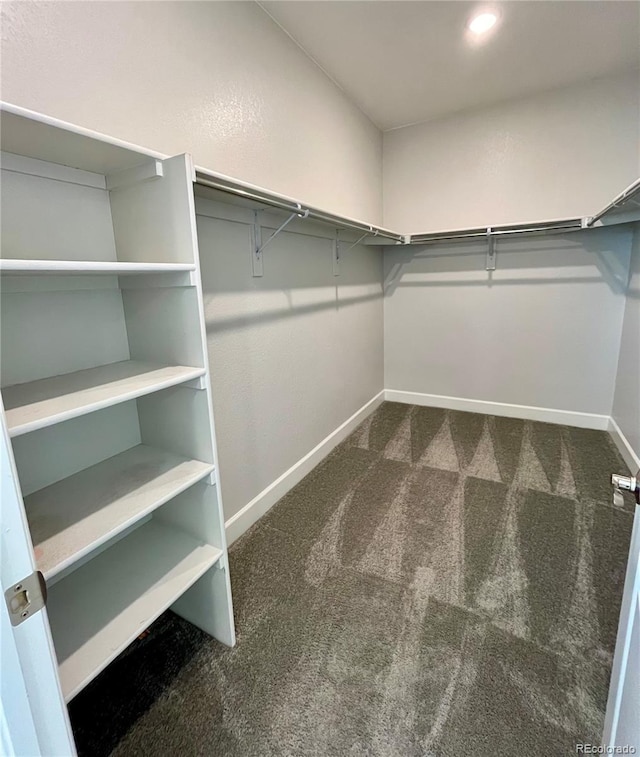 walk in closet with dark colored carpet