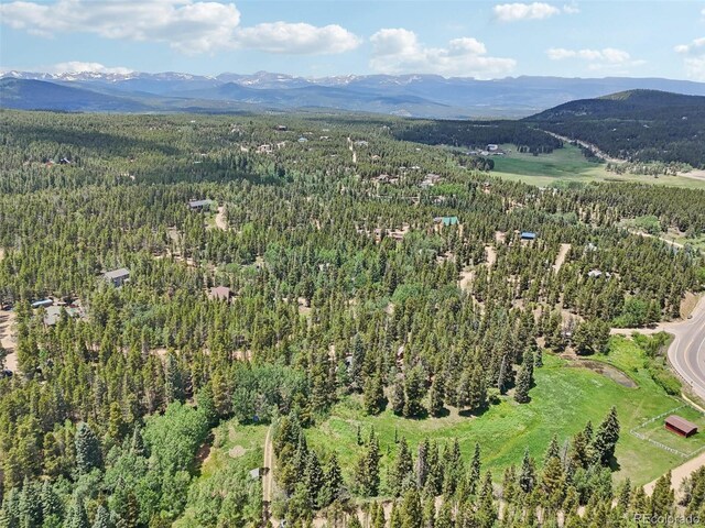 21 Breezewood Ln, Black Hawk, CO 80422 - photo 39