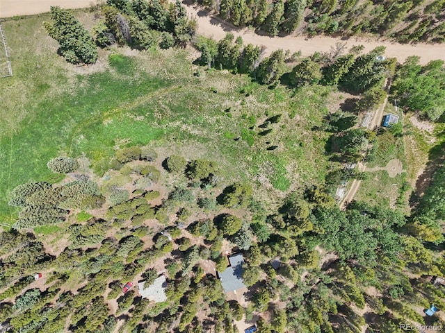 21 Breezewood Ln, Black Hawk, CO 80422 - photo 44