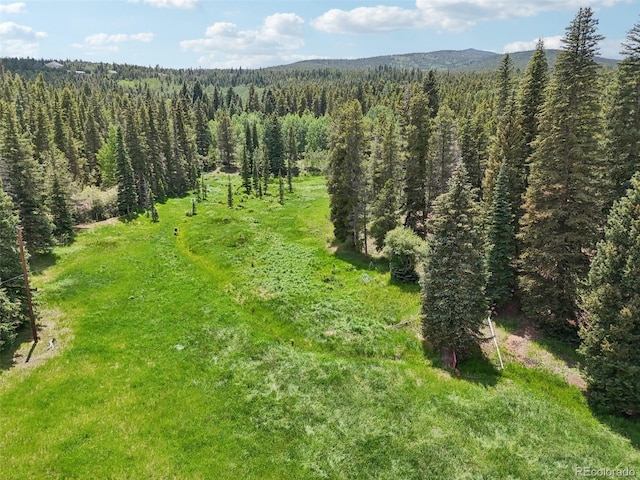 21 Breezewood Ln, Black Hawk, CO 80422 - photo 38