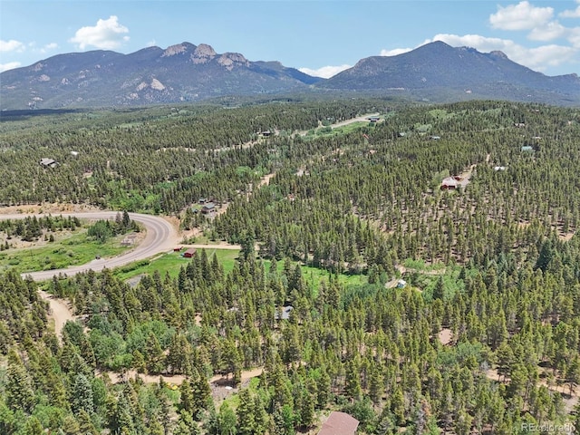 21 Breezewood Ln, Black Hawk, CO 80422 - photo 43