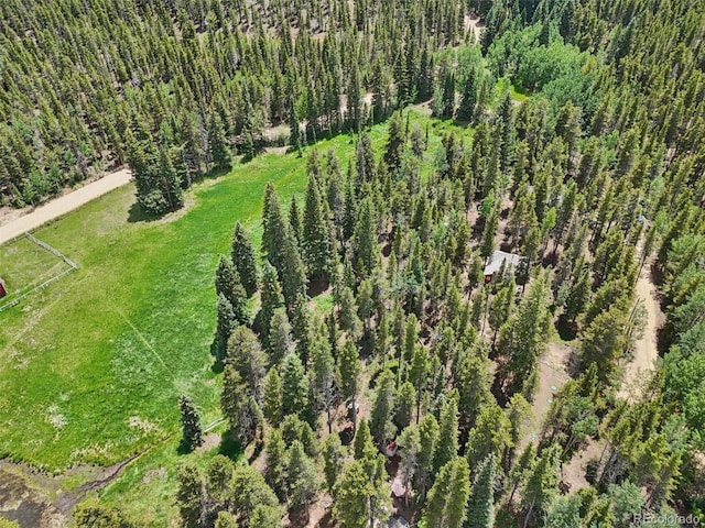 21 Breezewood Ln, Black Hawk, CO 80422 - photo 35