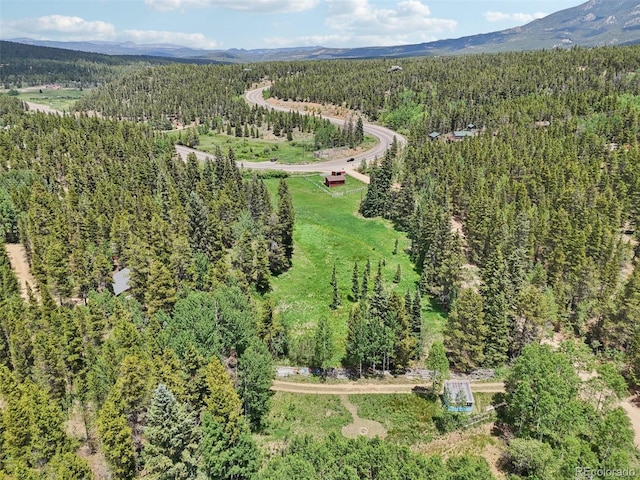 21 Breezewood Ln, Black Hawk, CO 80422 - photo 36
