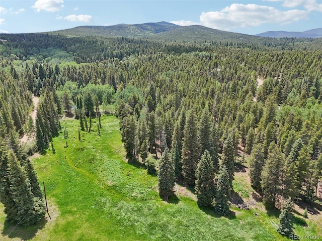 21 Breezewood Ln, Black Hawk, CO 80422 - photo 37