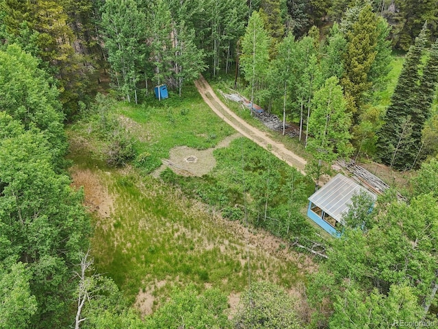21 Breezewood Ln, Black Hawk, CO 80422 - photo 41