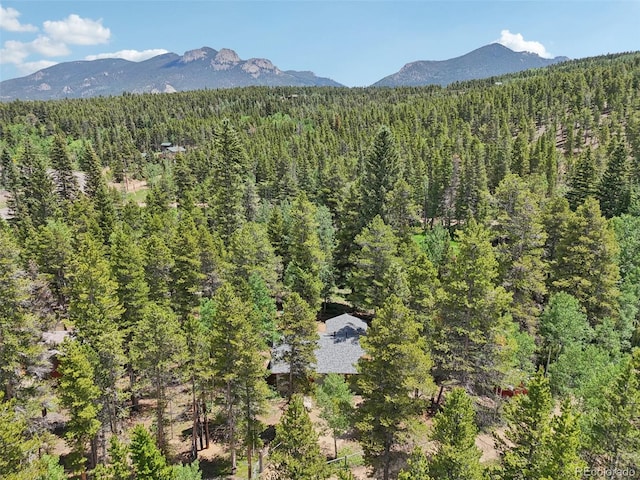 21 Breezewood Ln, Black Hawk, CO 80422 - photo 42