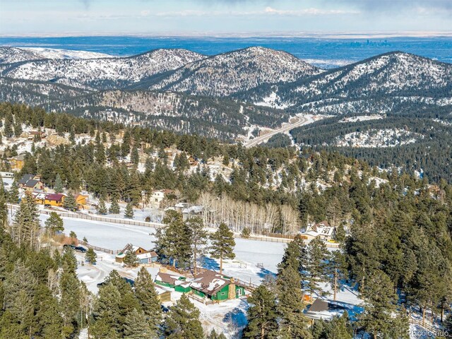 8537 S Doubleheader Hwy, Morrison, CO 80465 - snowy aerial view with a mountain view