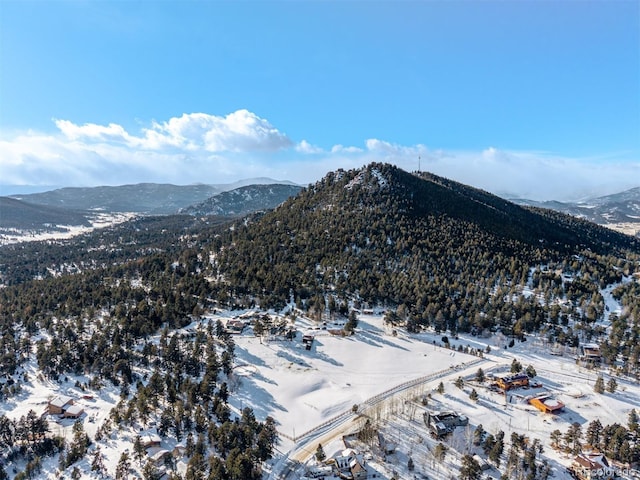 8537 S Doubleheader Hwy, Morrison, CO 80465 - view of mountain backdrop