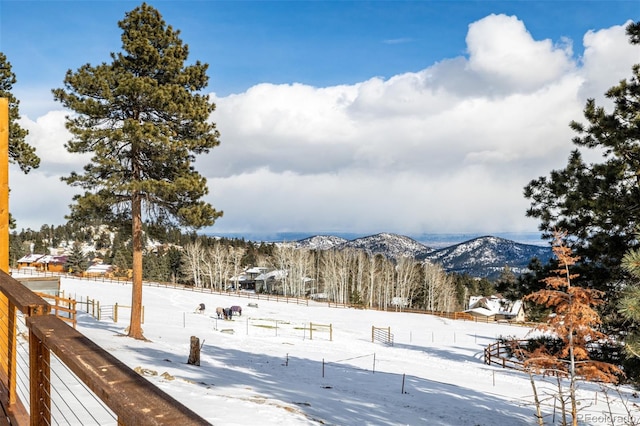 8537 S Doubleheader Hwy, Morrison, CO 80465 - photo 5