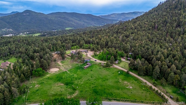 8537 S Doubleheader Hwy, Morrison, CO 80465 - photo 45
