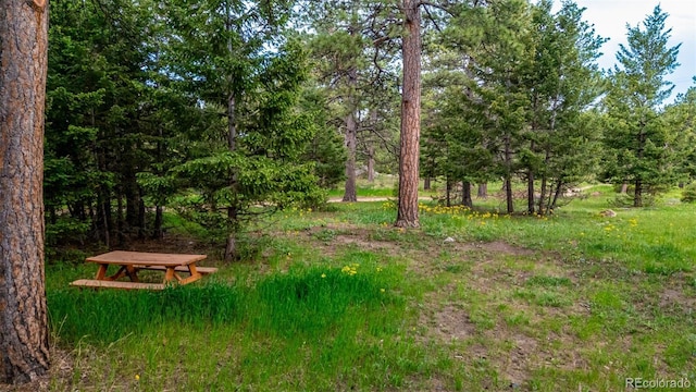 8537 S Doubleheader Hwy, Morrison, CO 80465 - photo 47