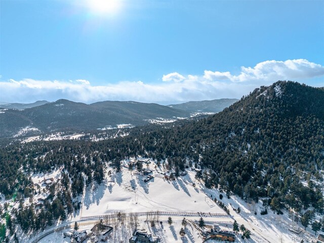 8537 S Doubleheader Hwy, Morrison, CO 80465 - photo 49