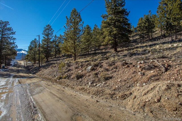 123 La Plata Peak Dr, Twin Lakes, CO 81251