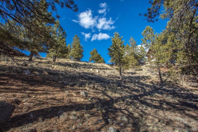 123 La Plata Peak Dr, Twin Lakes, CO 81251