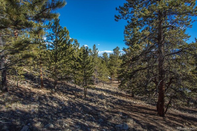 123 La Plata Peak Dr, Twin Lakes, CO 81251
