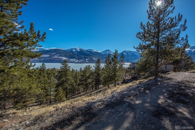 123 La Plata Peak Dr, Twin Lakes, CO 81251
