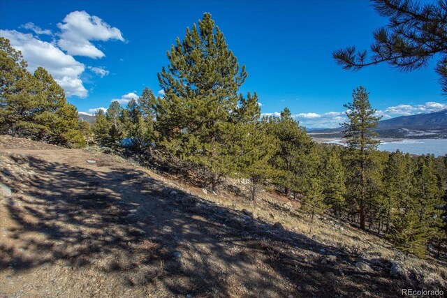 123 La Plata Peak Dr, Twin Lakes, CO 81251